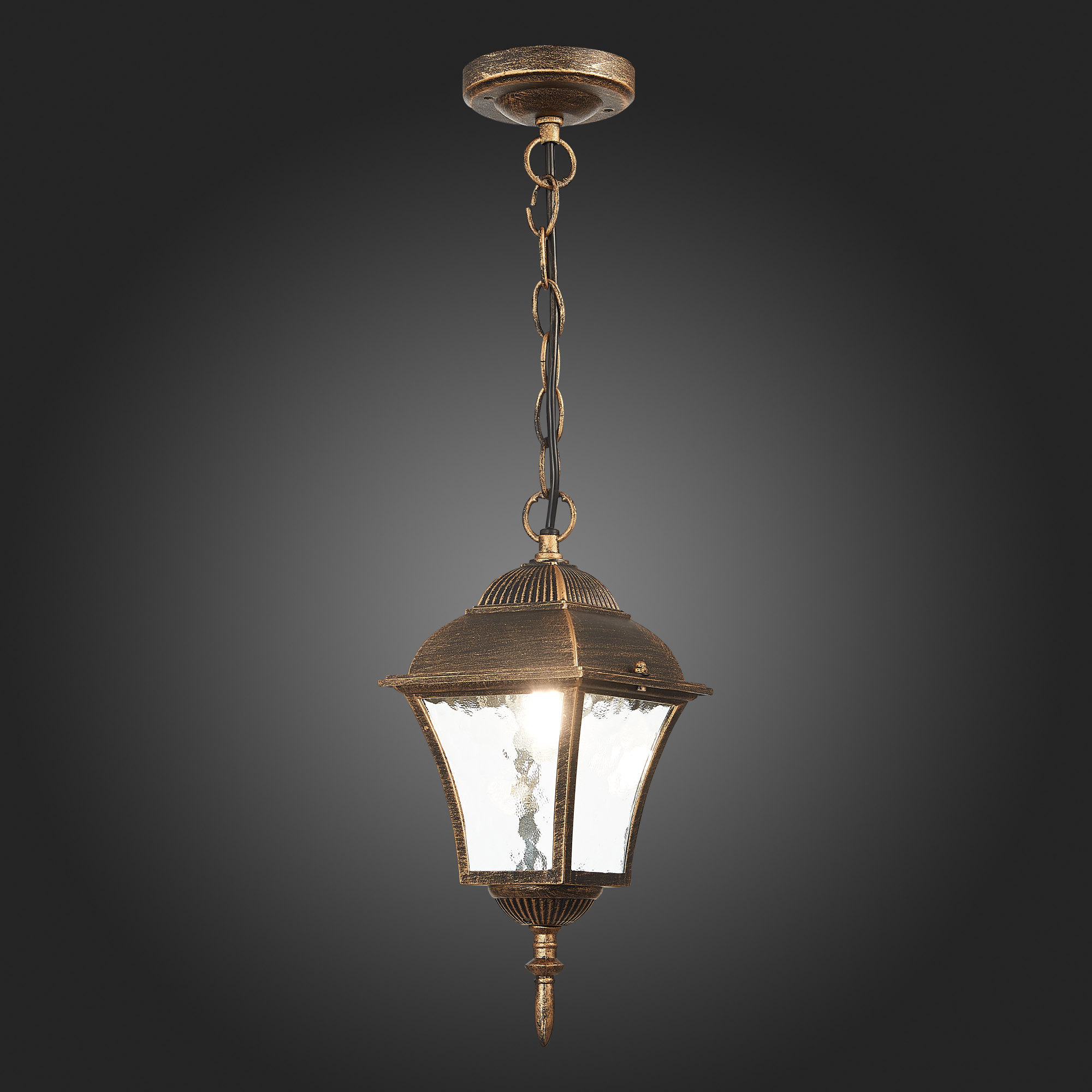 Уличный подвесной светильник ST Luce Domenico SL082.203.01