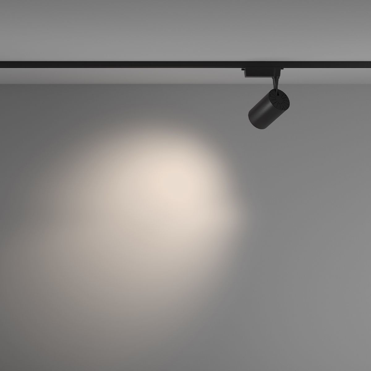 Трековый светильник Maytoni Technical Vuoro TR003-1-26W4K-M-B