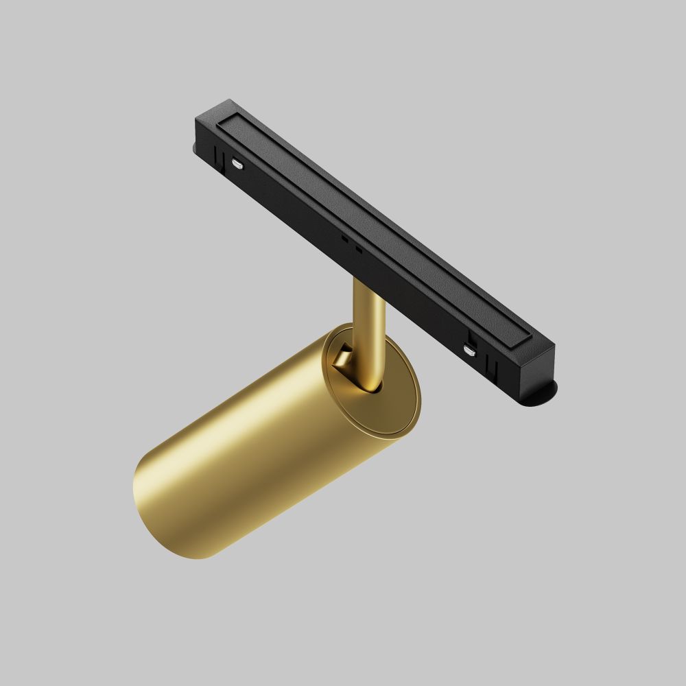 Трековый светильник Maytoni Technical Focus LED TR032-2-12W3K-S-MG