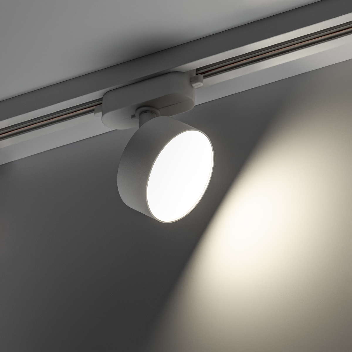 Трековый однофазный светильник Ritter Artline 59724 1