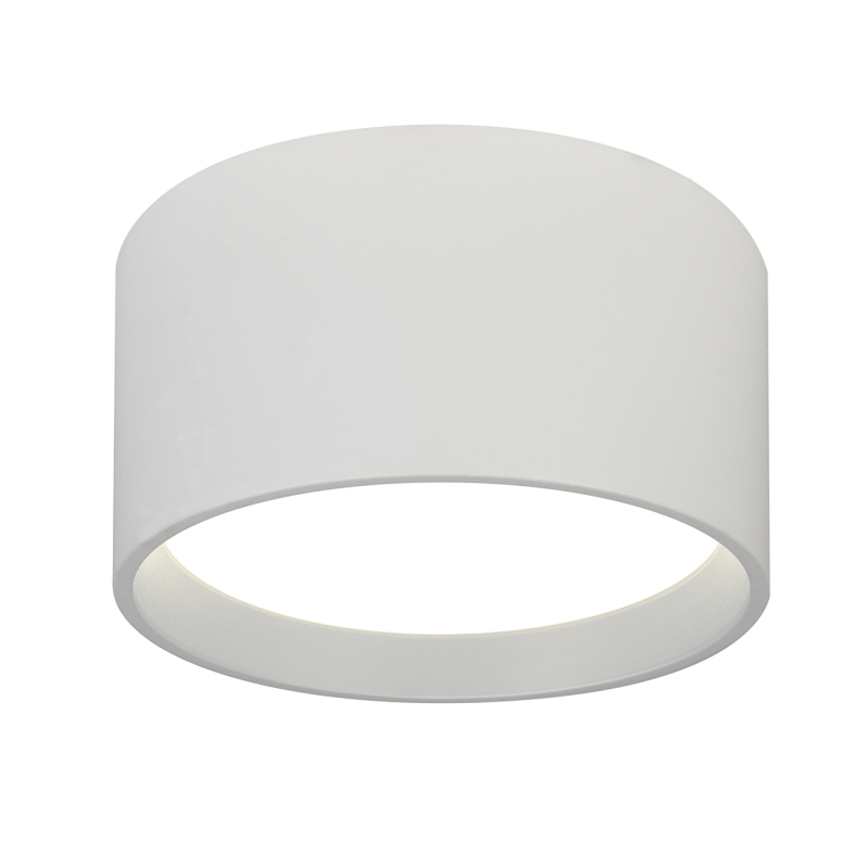 Потолочный светильник Escada 20005SMU/02LED SWH