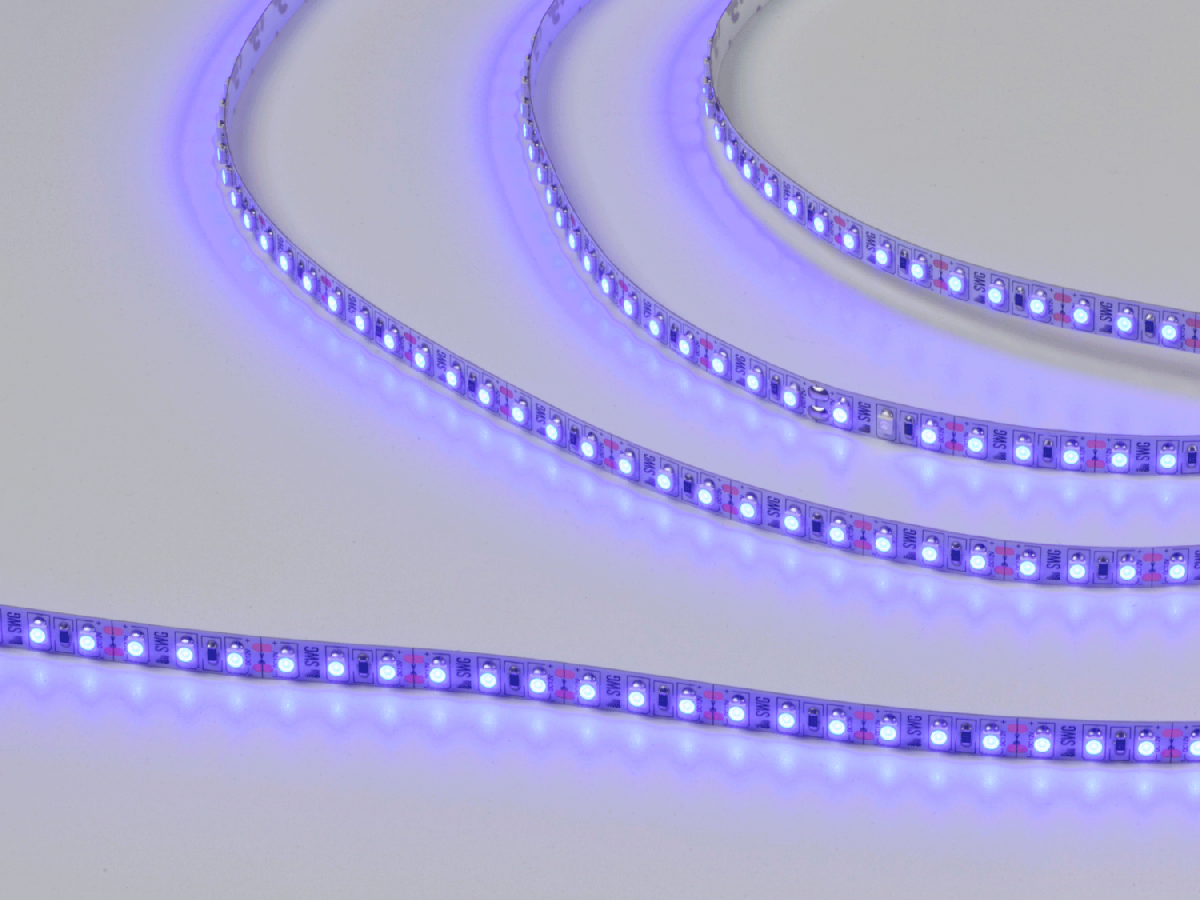 Светодиодная лента SWG Standard 3528 Синий 5м IP20 SWG3120-12-9.6-B-M 00-00009466