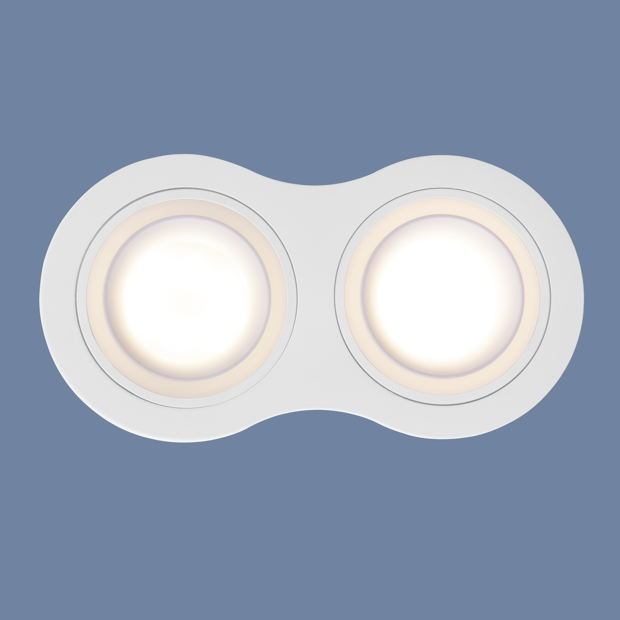 Встраиваемый светильник Elektrostandard 1081/2 MR16 белый 4690389148507