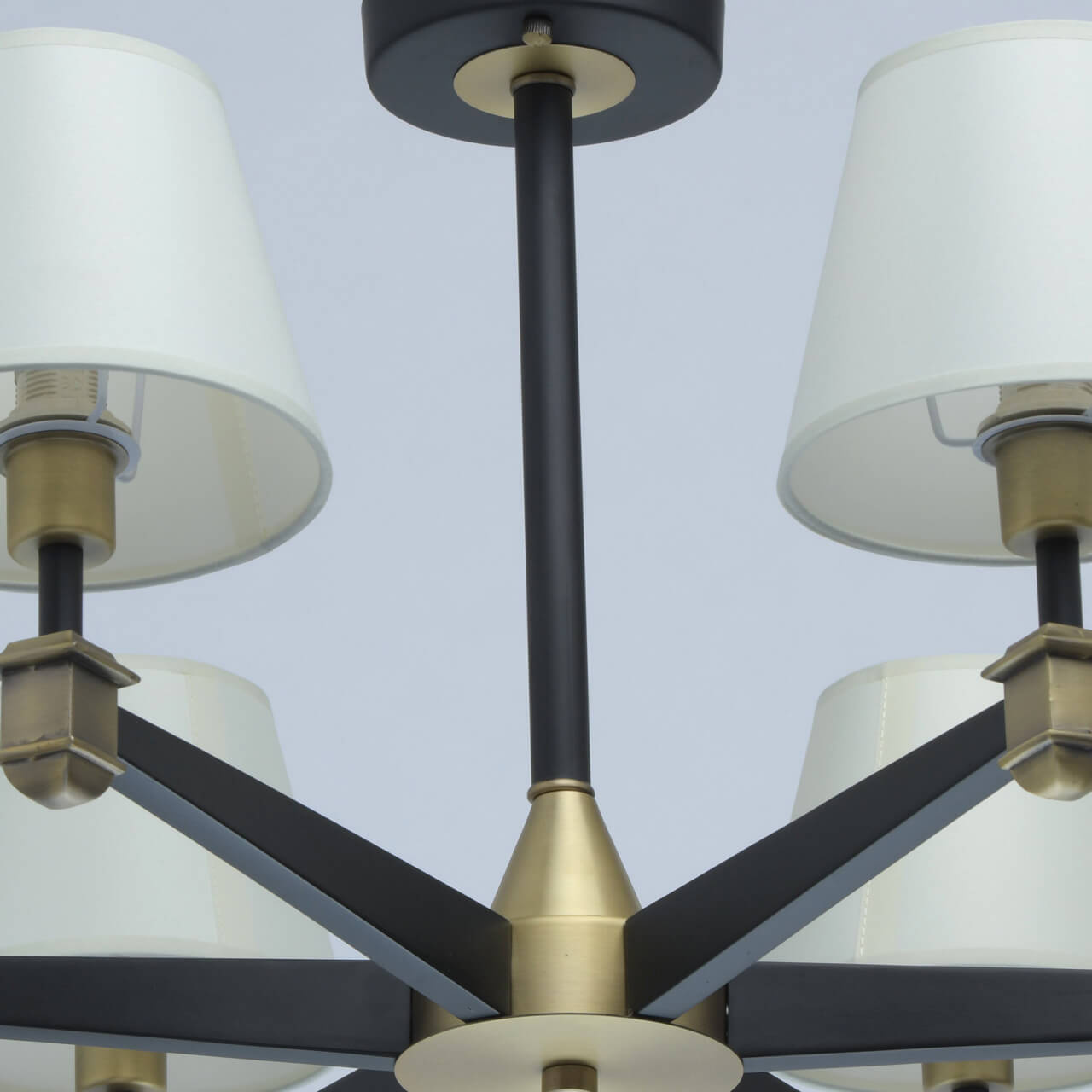 Потолочная люстра MW-Light ДельРей 700013306