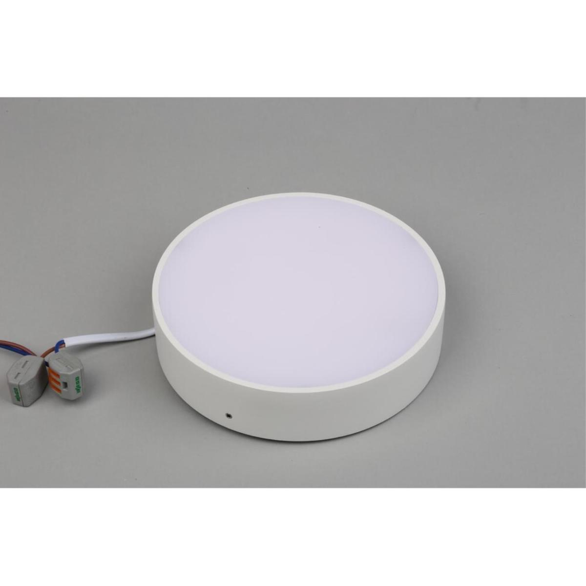 Потолочный светильник Aployt Evon APL.0113.09.18