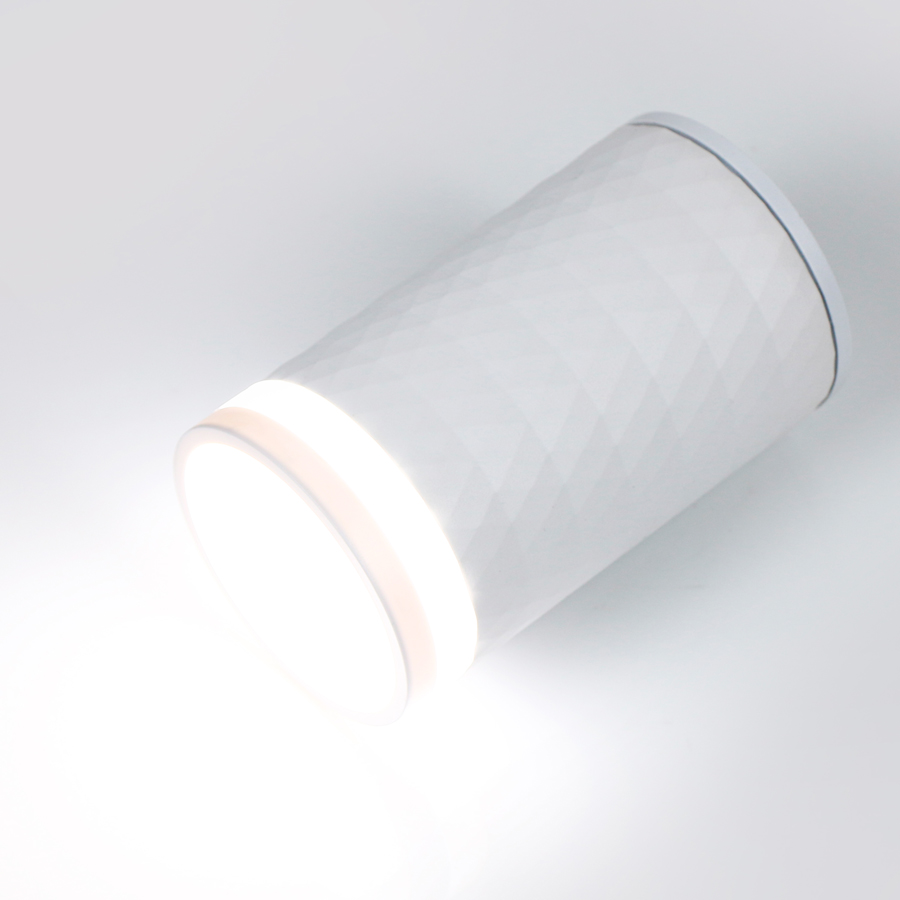 Накладной светильник General GWL-E27-M-IP65 661966