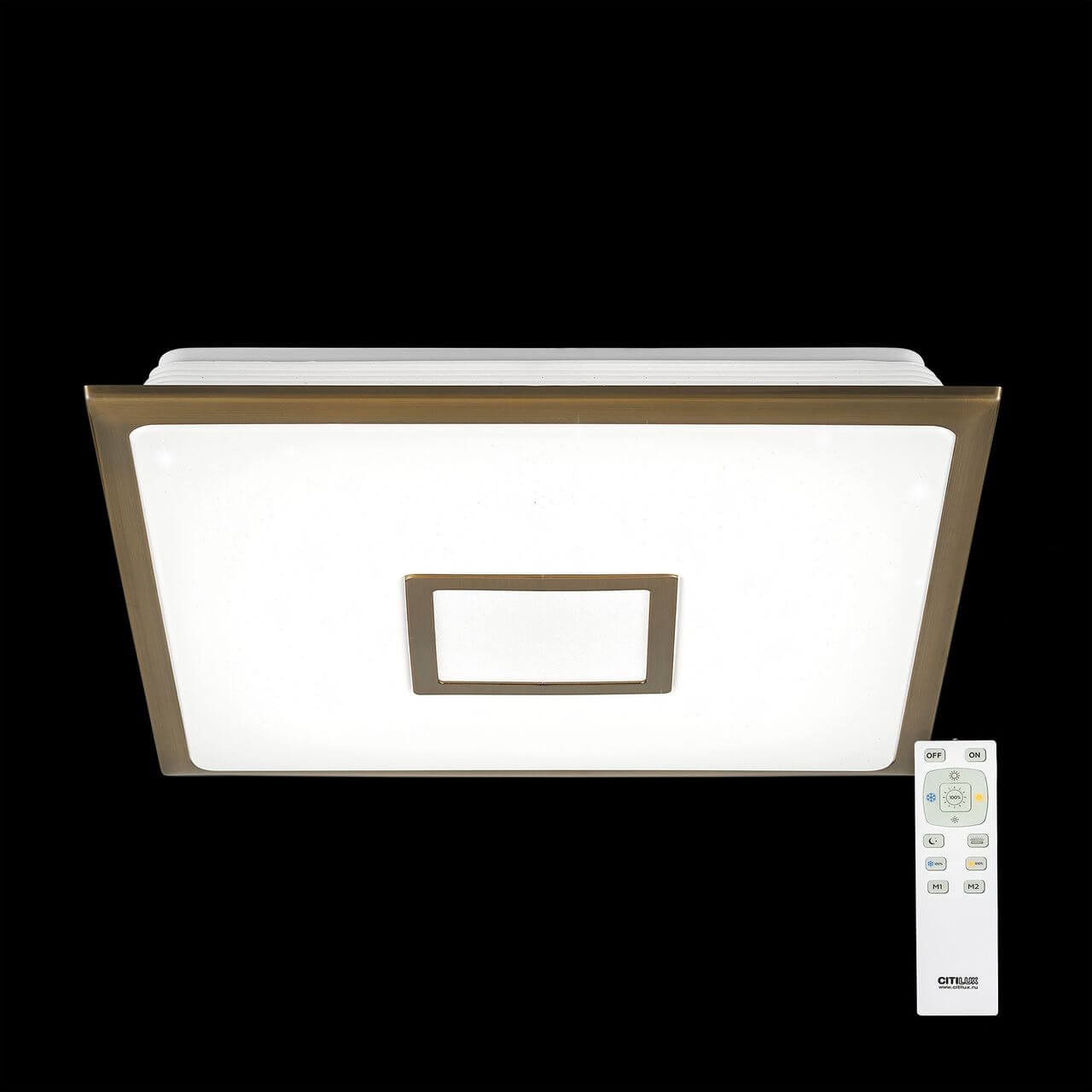 Потолочный светодиодный светильник Citilux СтарЛайт CL70353R