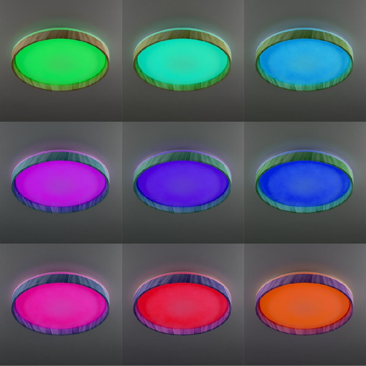 Потолочный светильник Citilux Enzo CL753452G