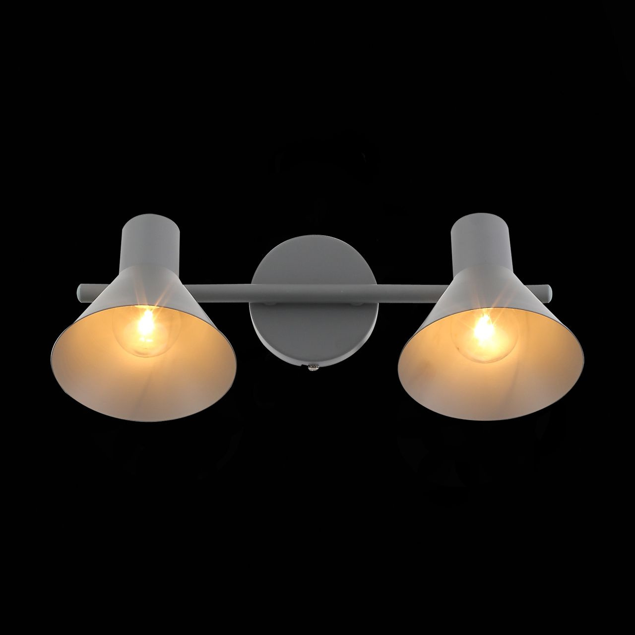 Спот ST Luce Grispo SL403.701.02