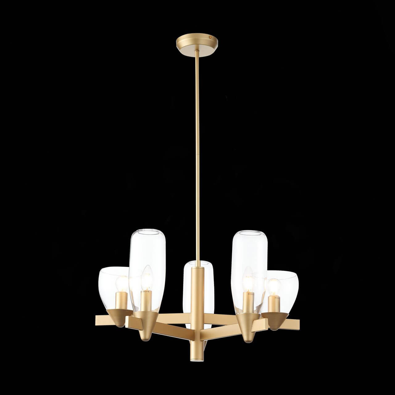 Люстра на штанге ST-Luce SL1119.203.05