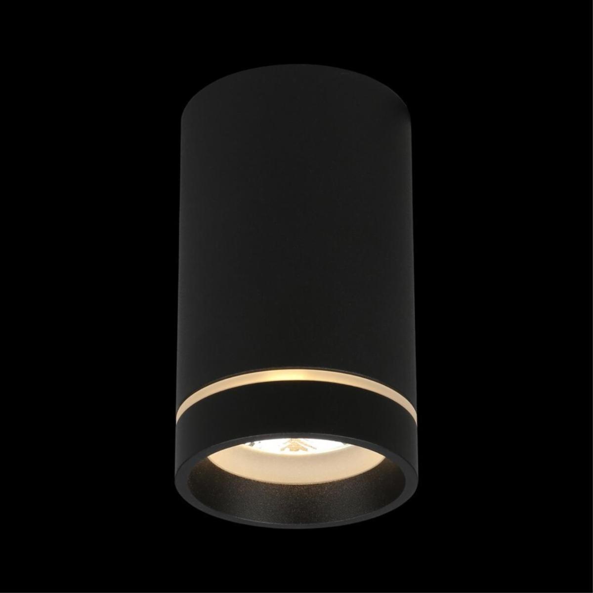 Потолочный светильник Aployt Edda APL.0053.19.10