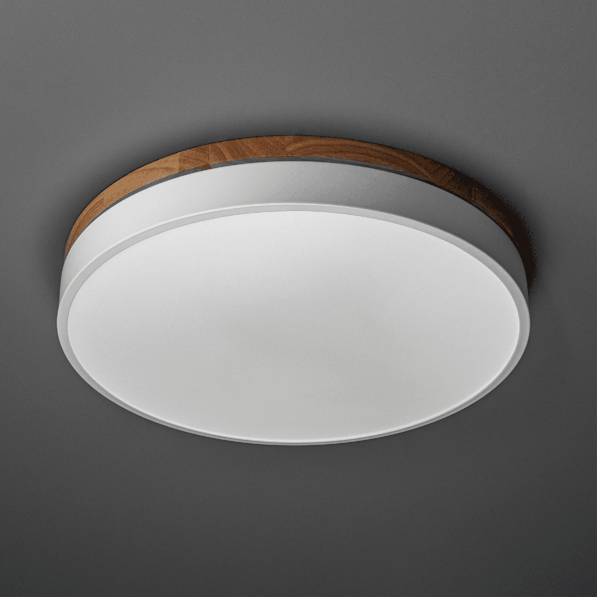 Потолочный светильник Ritter Snello 51623 5