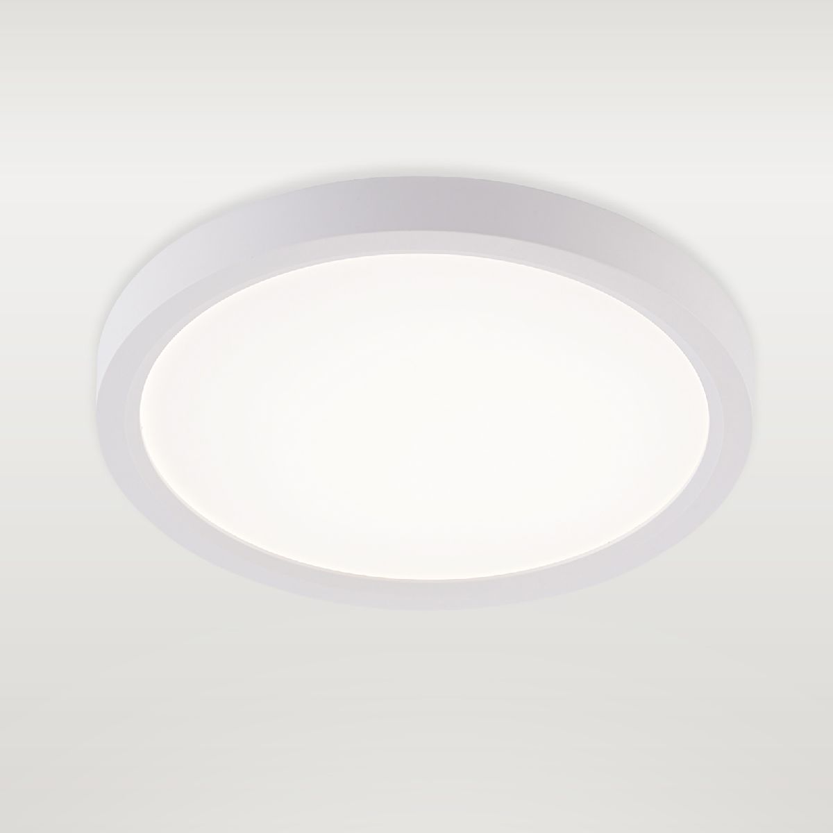 Потолочный светильник Natali Kovaltseva Plain LED LAMPS 81113/1C