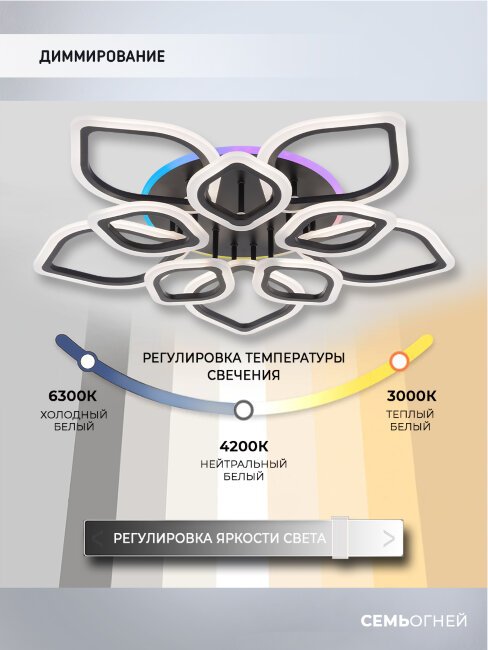 Потолочная люстра Seven Fires Feri SF5029/11C-BK-RGB