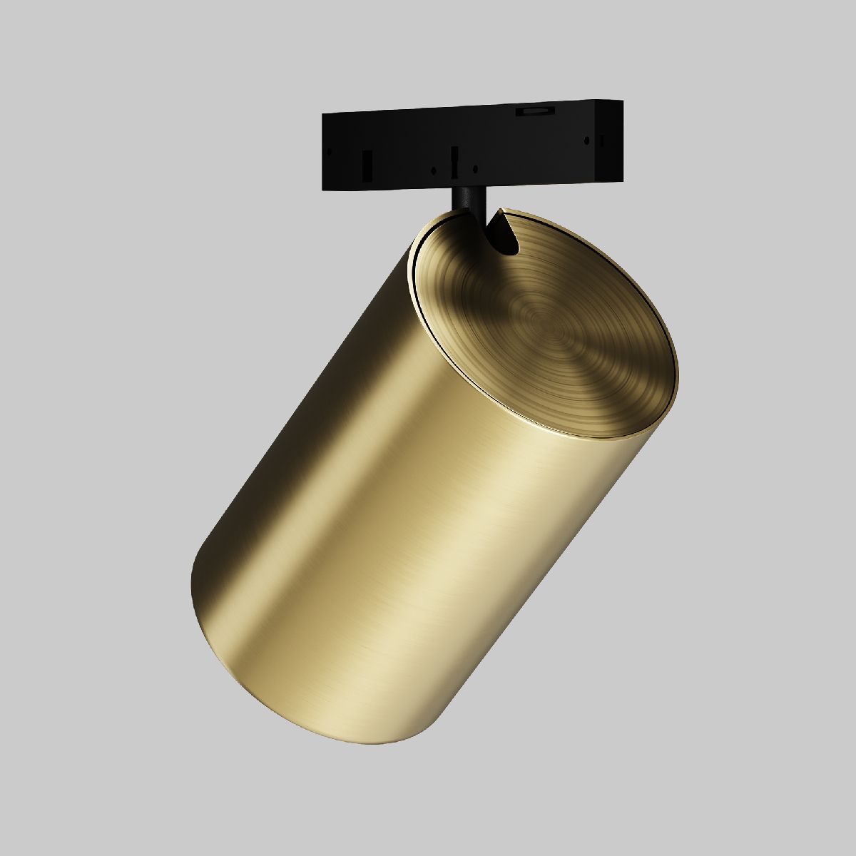 Трековый магнитный светильник Maytoni Focus Led TR187-1-5W2.7K-M-BBS