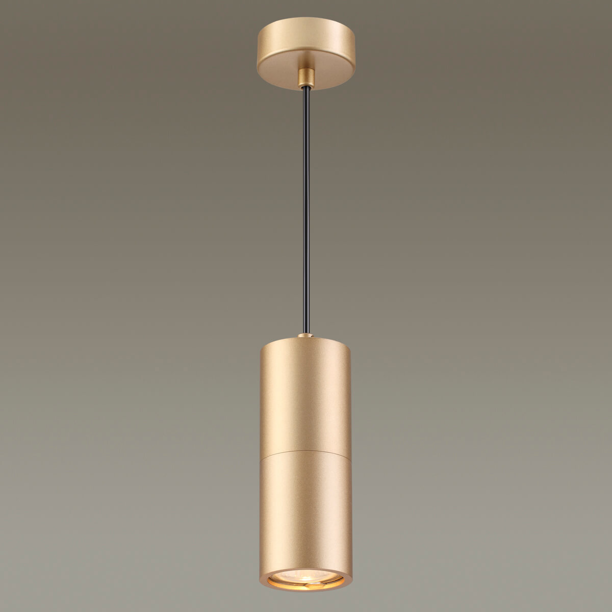 Подвесной светильник Odeon Light Duetta 3828/1