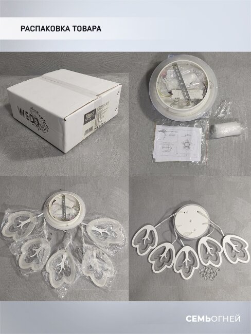 Потолочная люстра Wedo Light Dominica 75306.01.09.05RGB