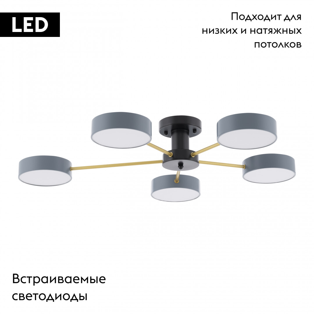 Потолочная люстра Arte Milano Ferrara 252006/5 Bk/Gr