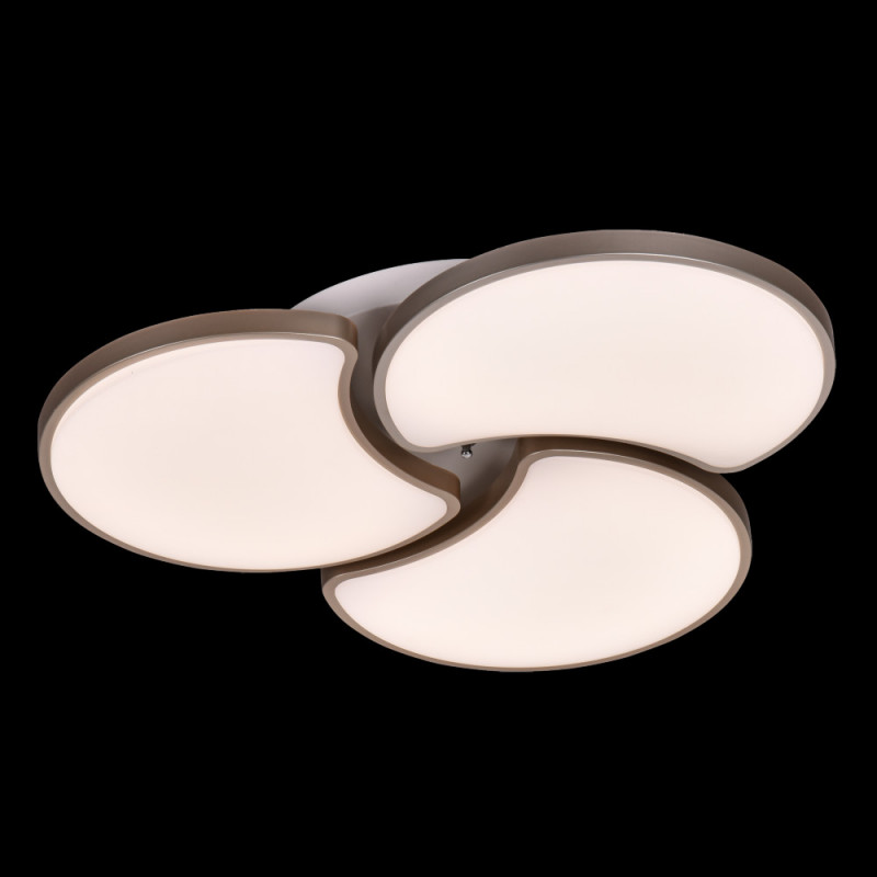 Потолочный светильник Adilux 0963