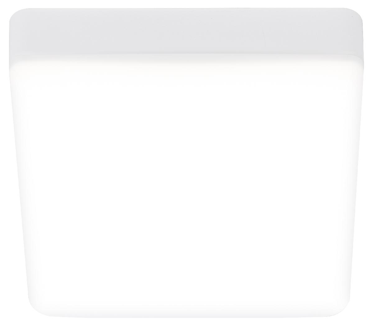 Настенно-потолочный светильник Эра LED 16-18-4K Б0054338