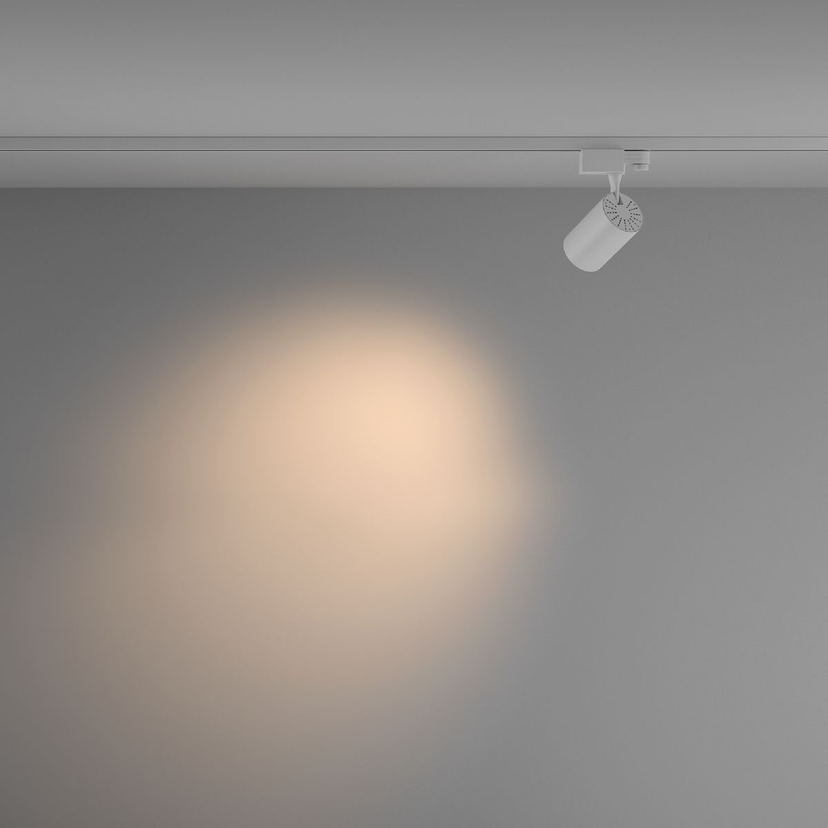 Трековый светильник Maytoni Technical Vuoro TR029-3-10W3K-M-W