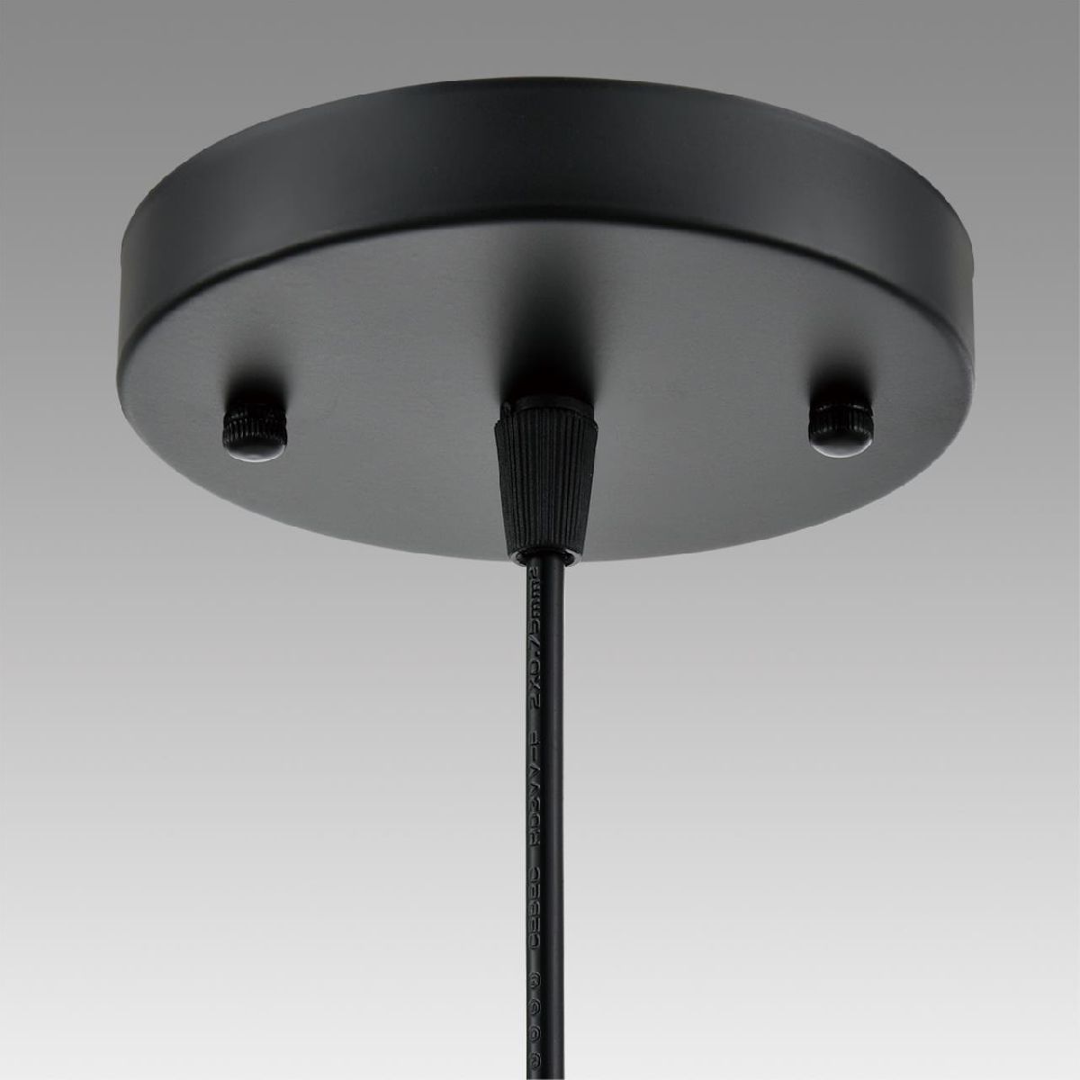 Подвесной светильник Lumion Suspentioni Elenika 8056/1A