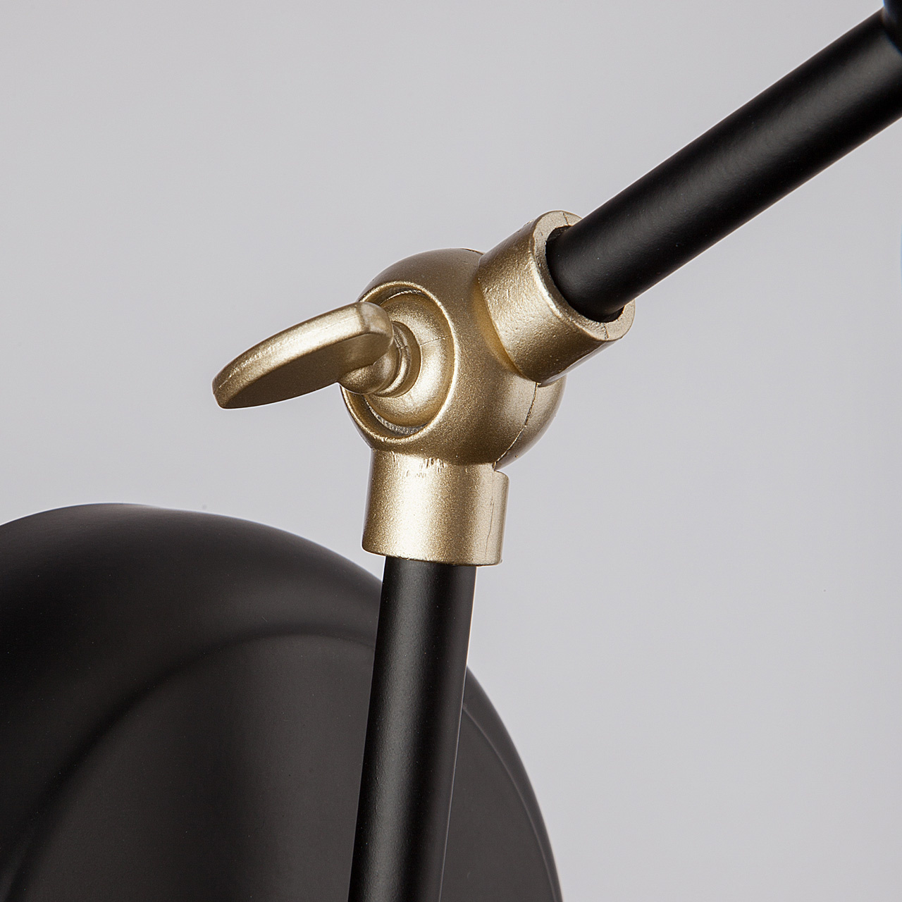 Спот Eurosvet Nigella 70052/1 черный/золото