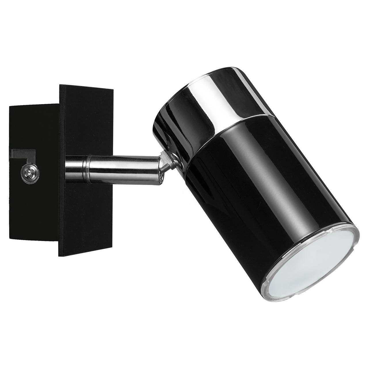 Спот Paulmann Zyli 66511