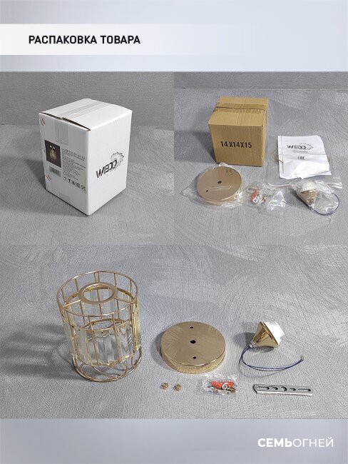 Потолочный светильник Wedo Light Beteni WD3567/1C-FGD-CL