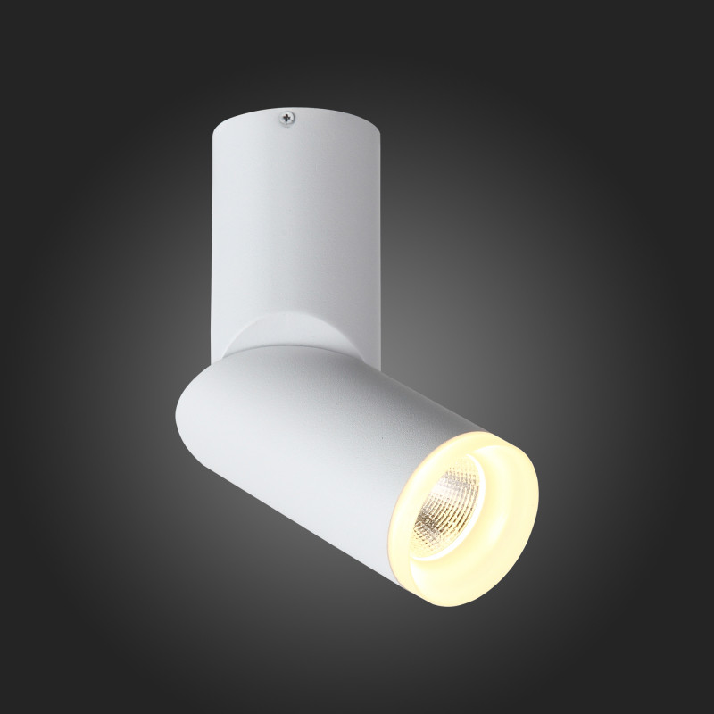 Спот ST Luce ST107.502.10