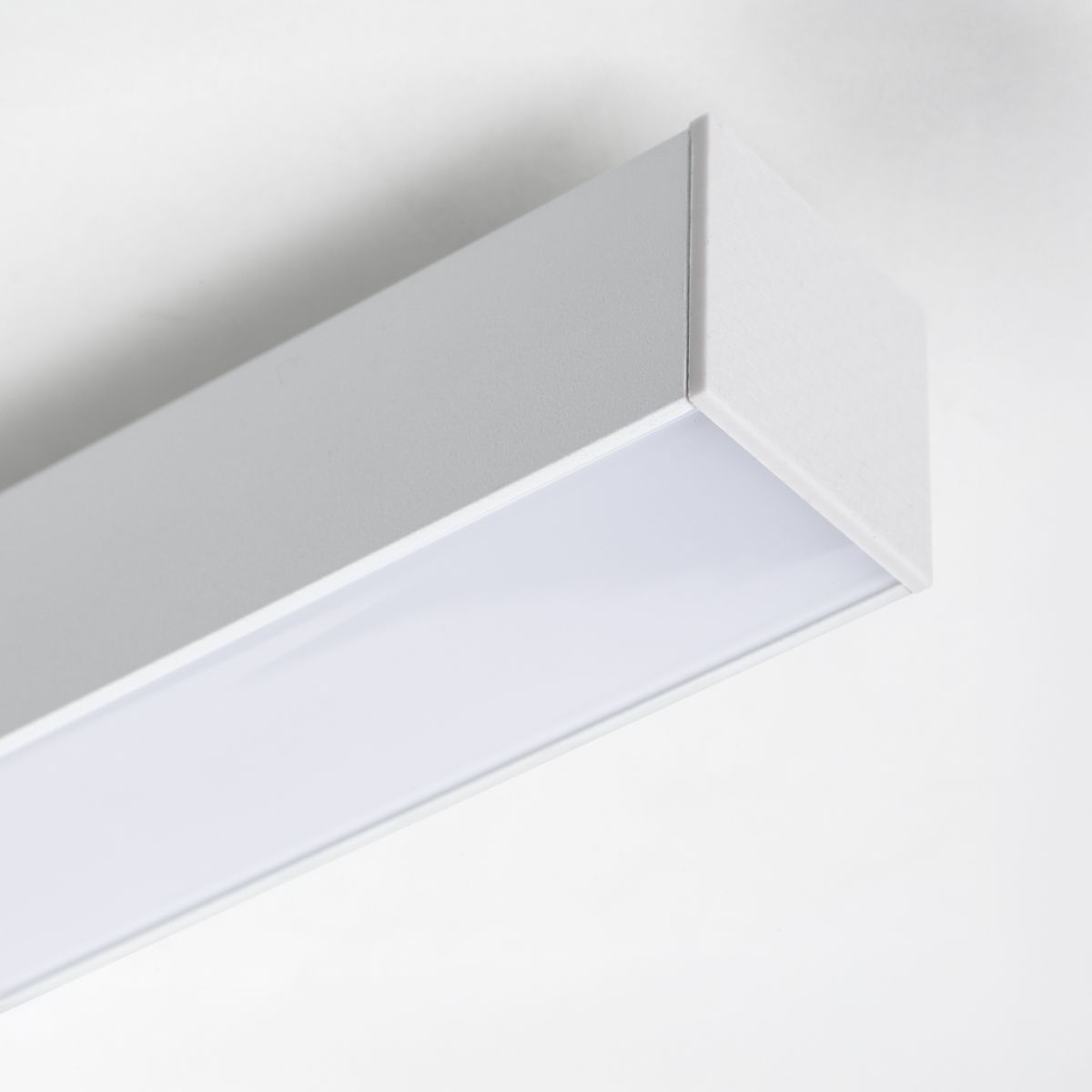 Трековый однофазный светильники Lightstar Lilla 202146