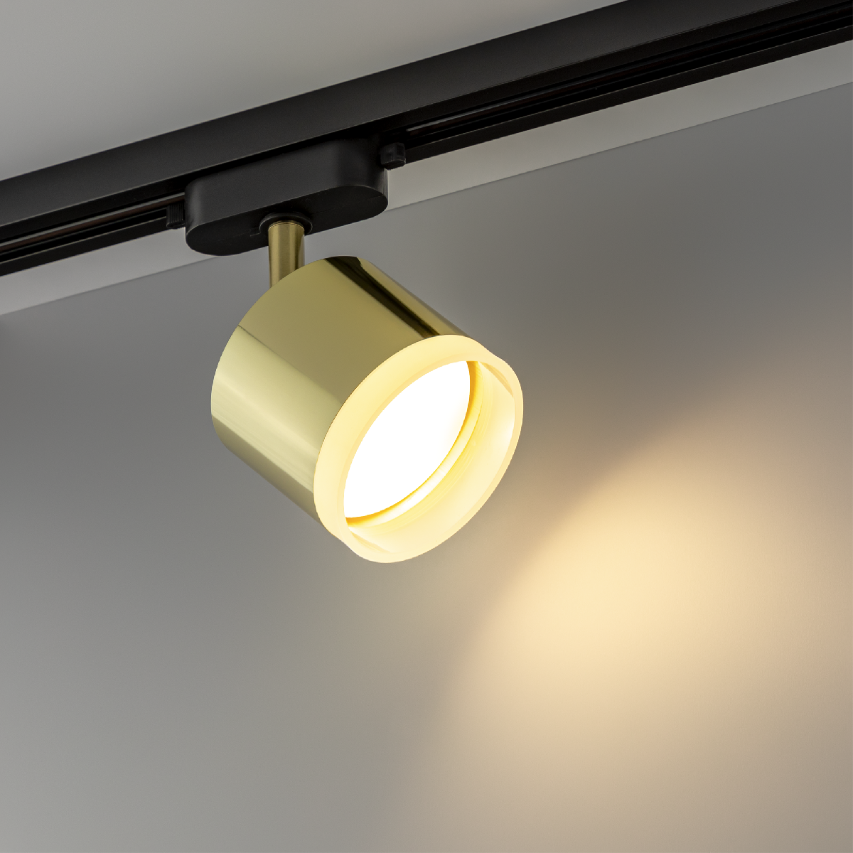 Трековый однофазный светильник Ritter Artline 59864 4