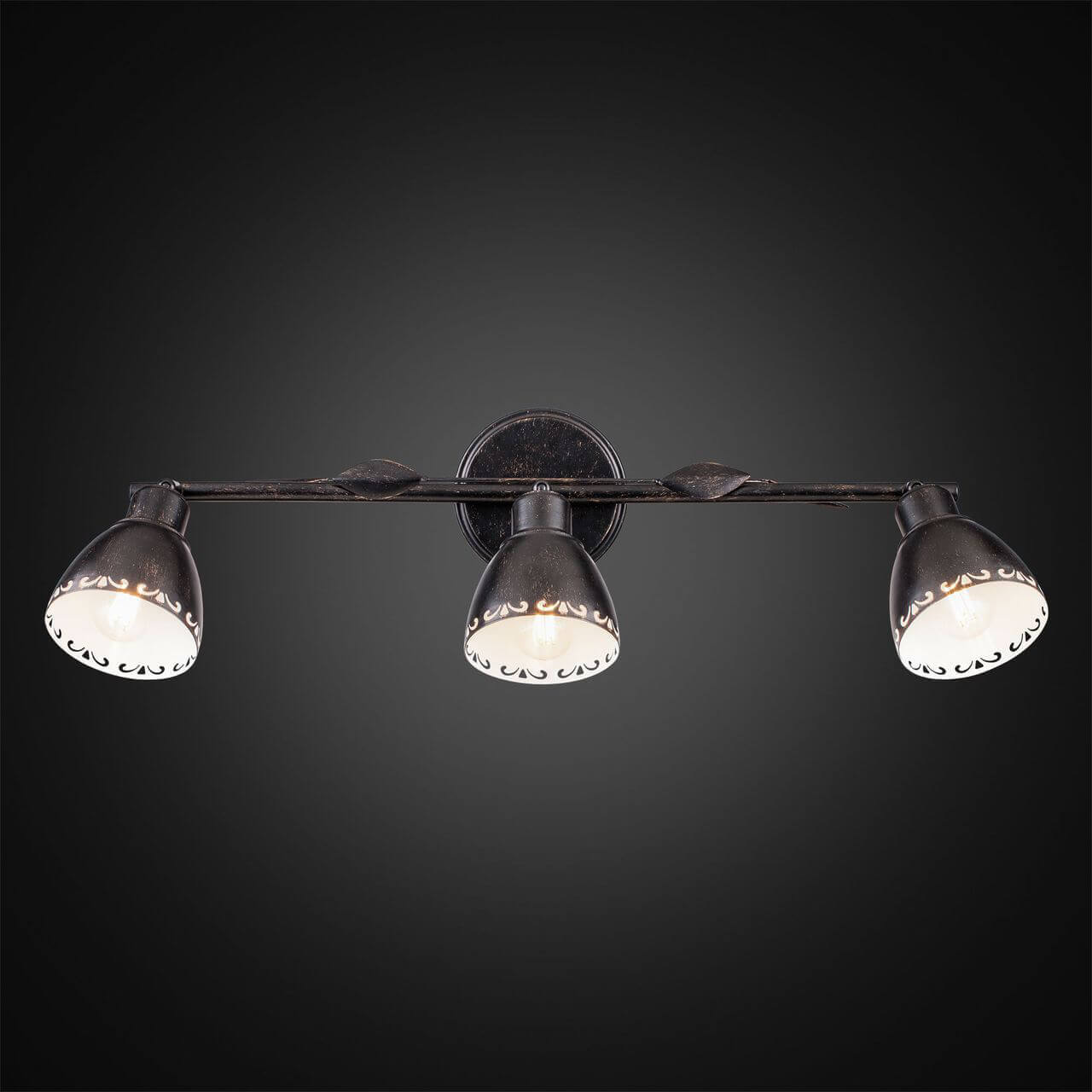 Спот Citilux Робуста CL509532