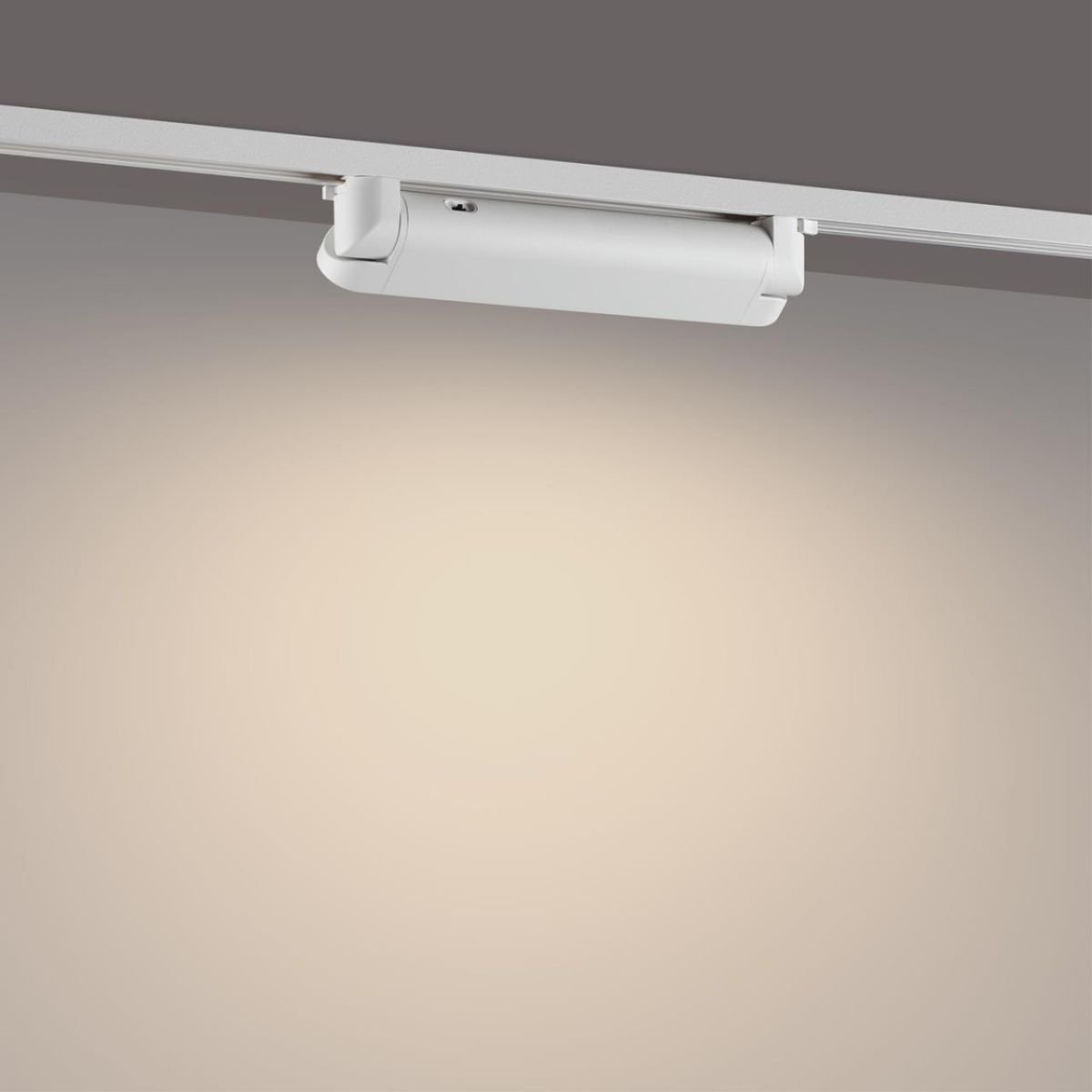 Трековый однофазный двухжильный светильник с переключателем цветовой температуры Novotech Port Iter 359793
