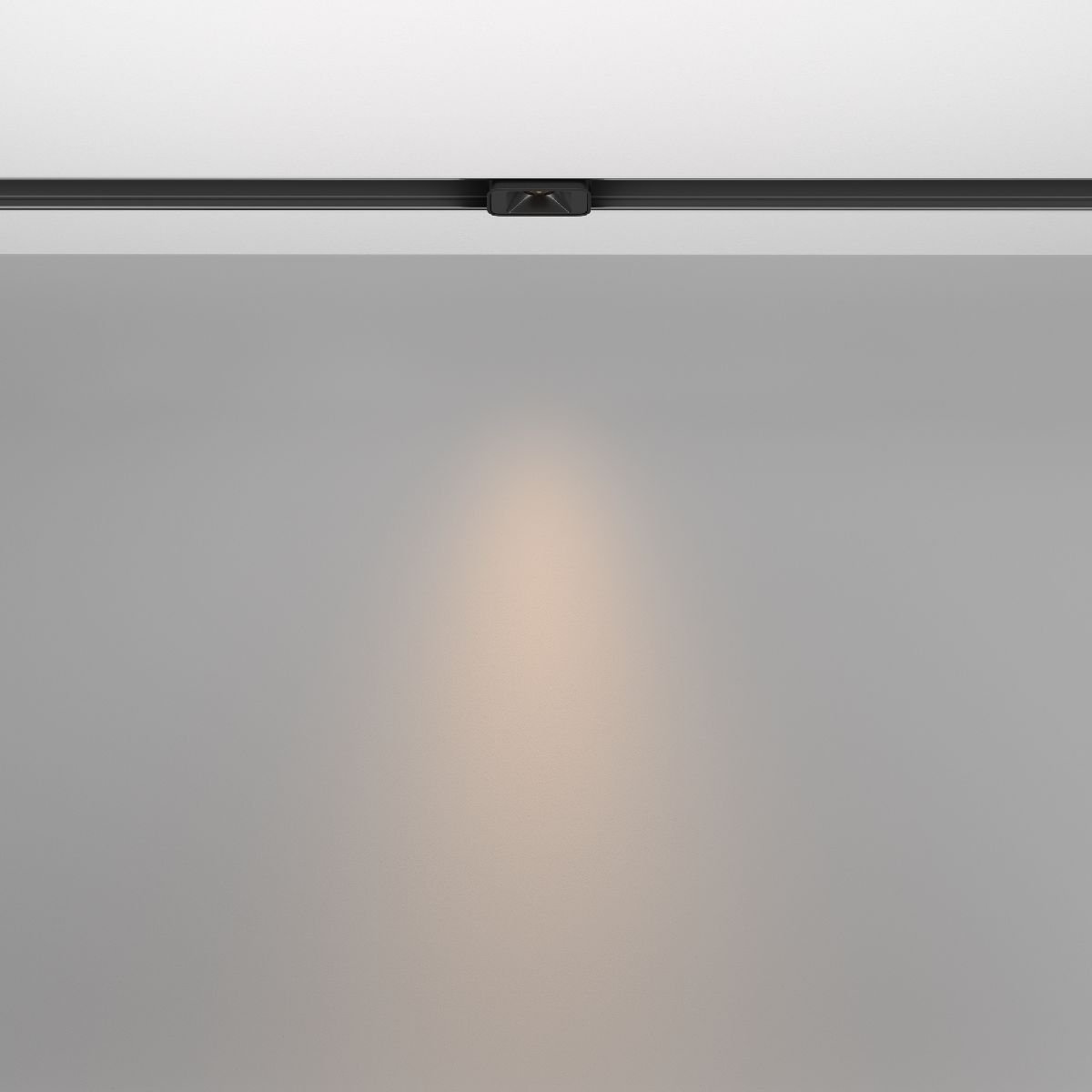 Трековый магнитный светильник Maytoni Points S TR100-2-2W3K-S-B