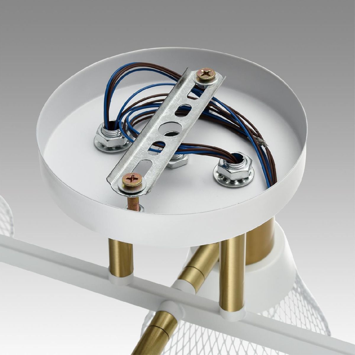 Потолочная люстра Lumion Anriya 8045/6C