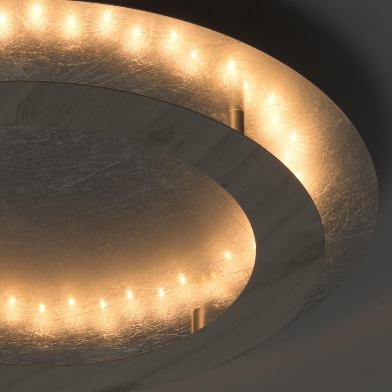 Потолочный светодиодный светильник De Markt Иланг 2 712011401