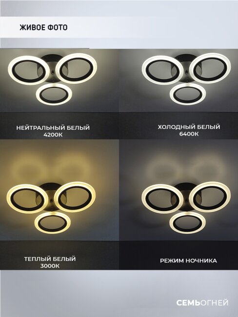 Потолочная люстра Seven Fires Leyni SF5006/3C-BK