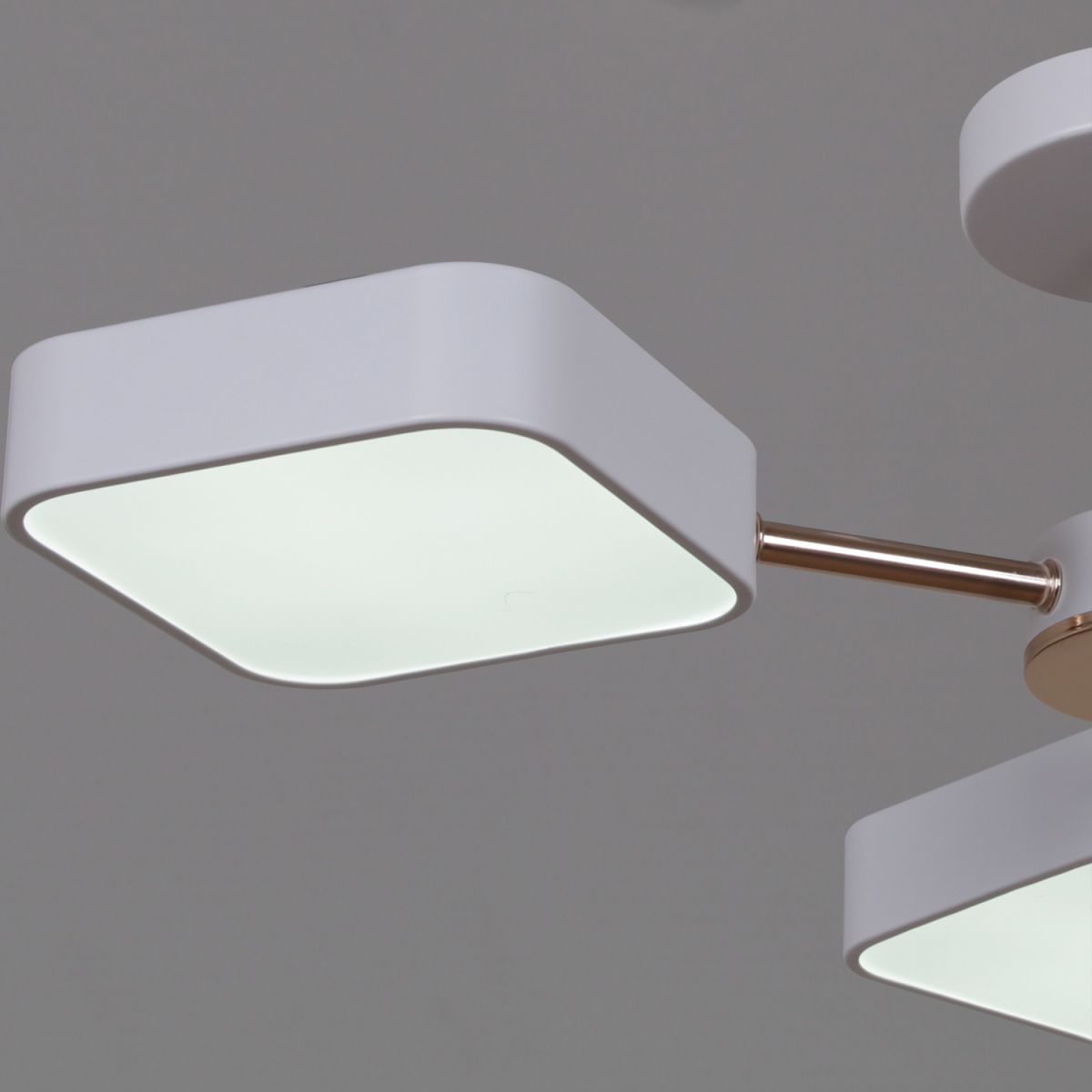 Люстра на штанге Reluce 03360-0.3-05 WH+FGD