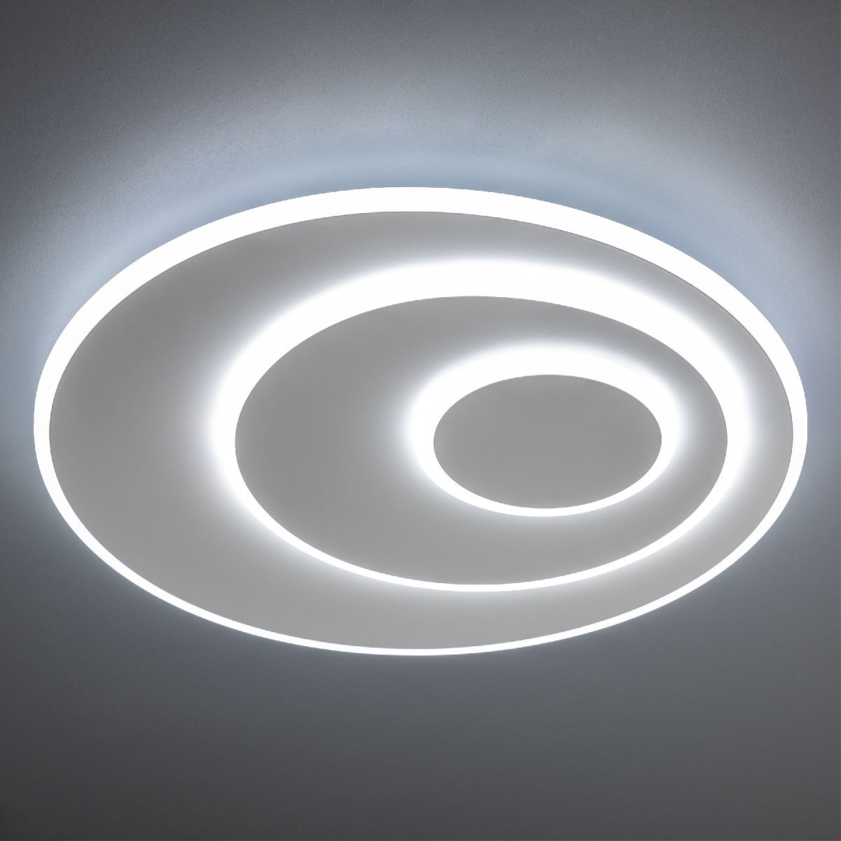 Потолочная люстра Ritter Galassia 51581 8