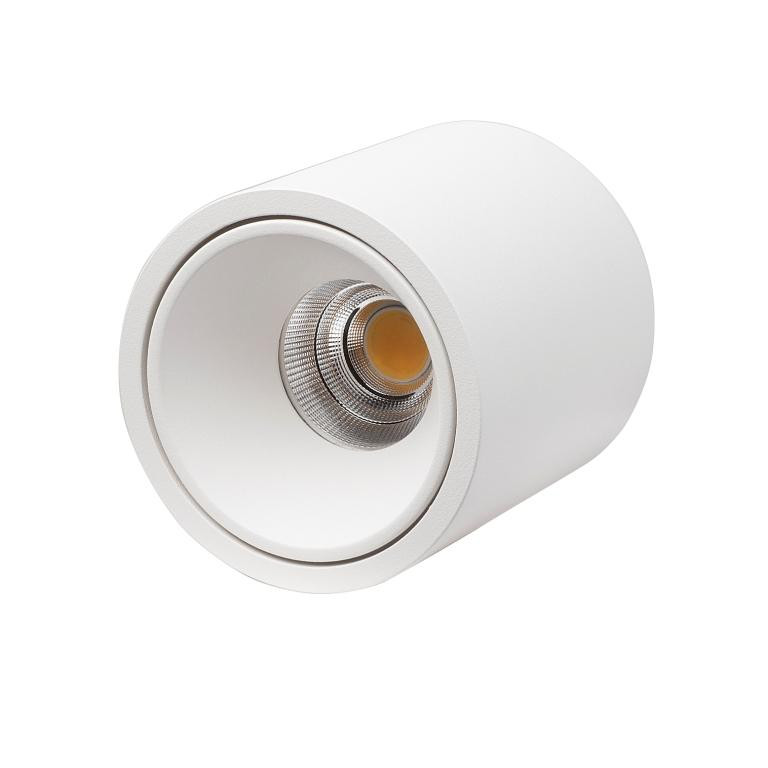 Влагозащищенный светильник LeDron RINBOK White 00000013783