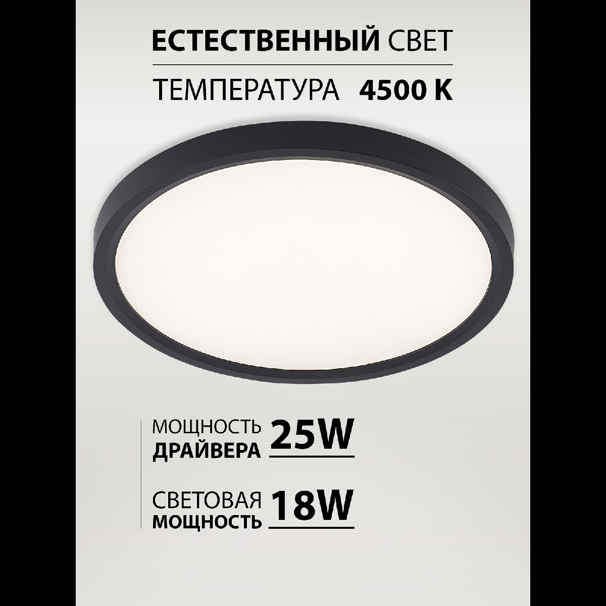 Потолочный светильник Natali Kovaltseva Plain LED LAMPS 81114/2C
