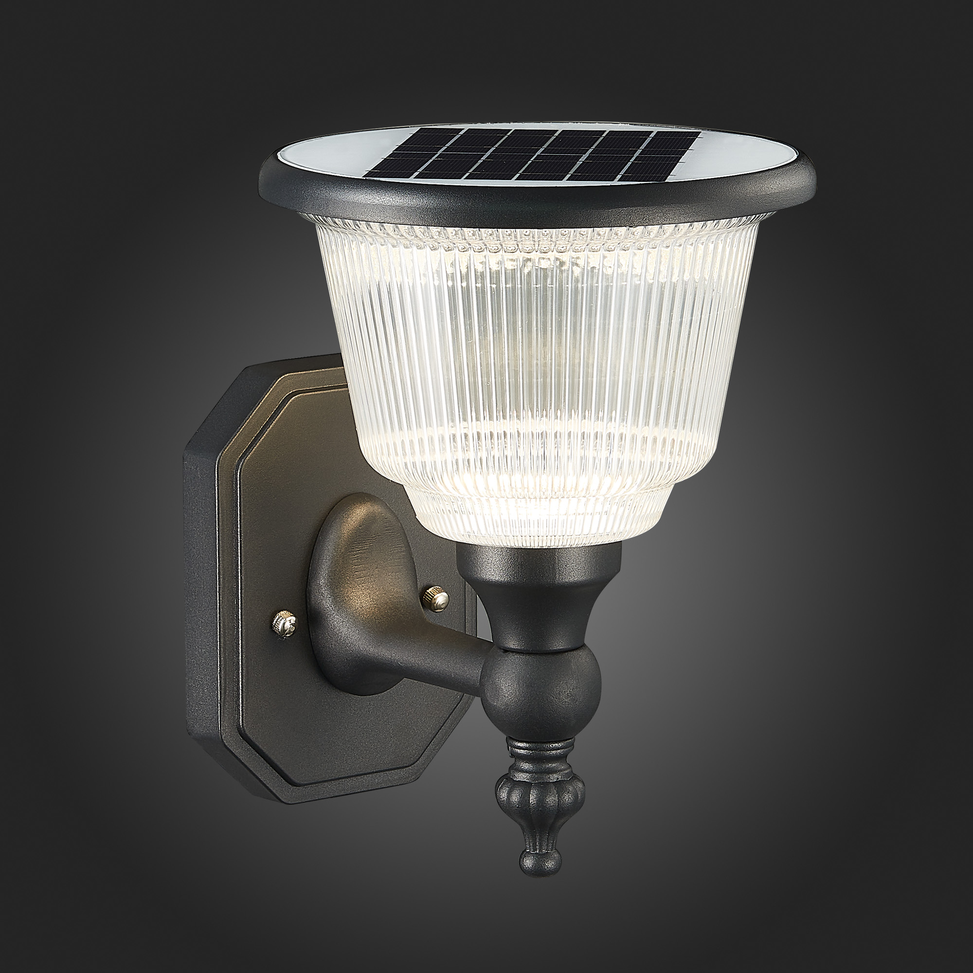 Светильник на солнечных батареях ST Luce Solaris SL9502.401.01