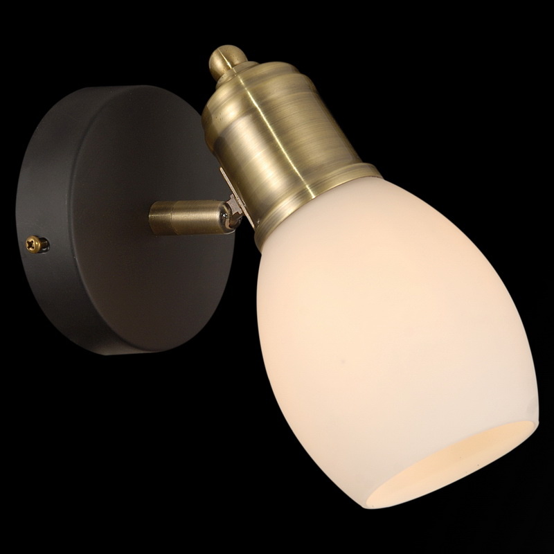 Спот Illumico IL9724-1WSQ-79 BK AB