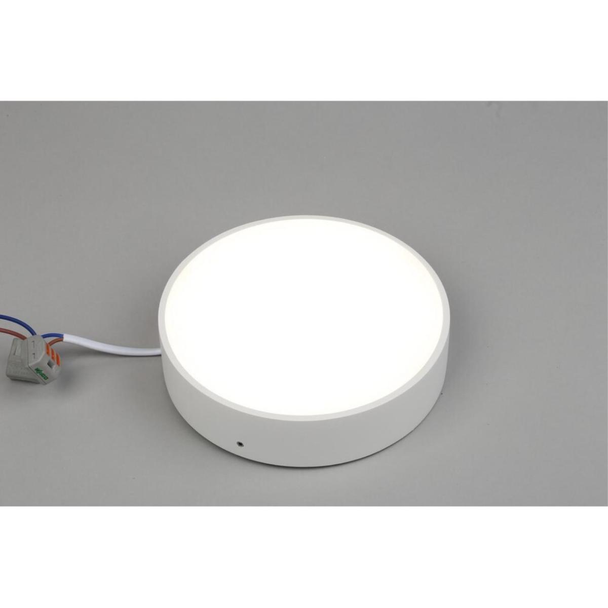 Потолочный светильник Aployt Evon APL.0114.09.18