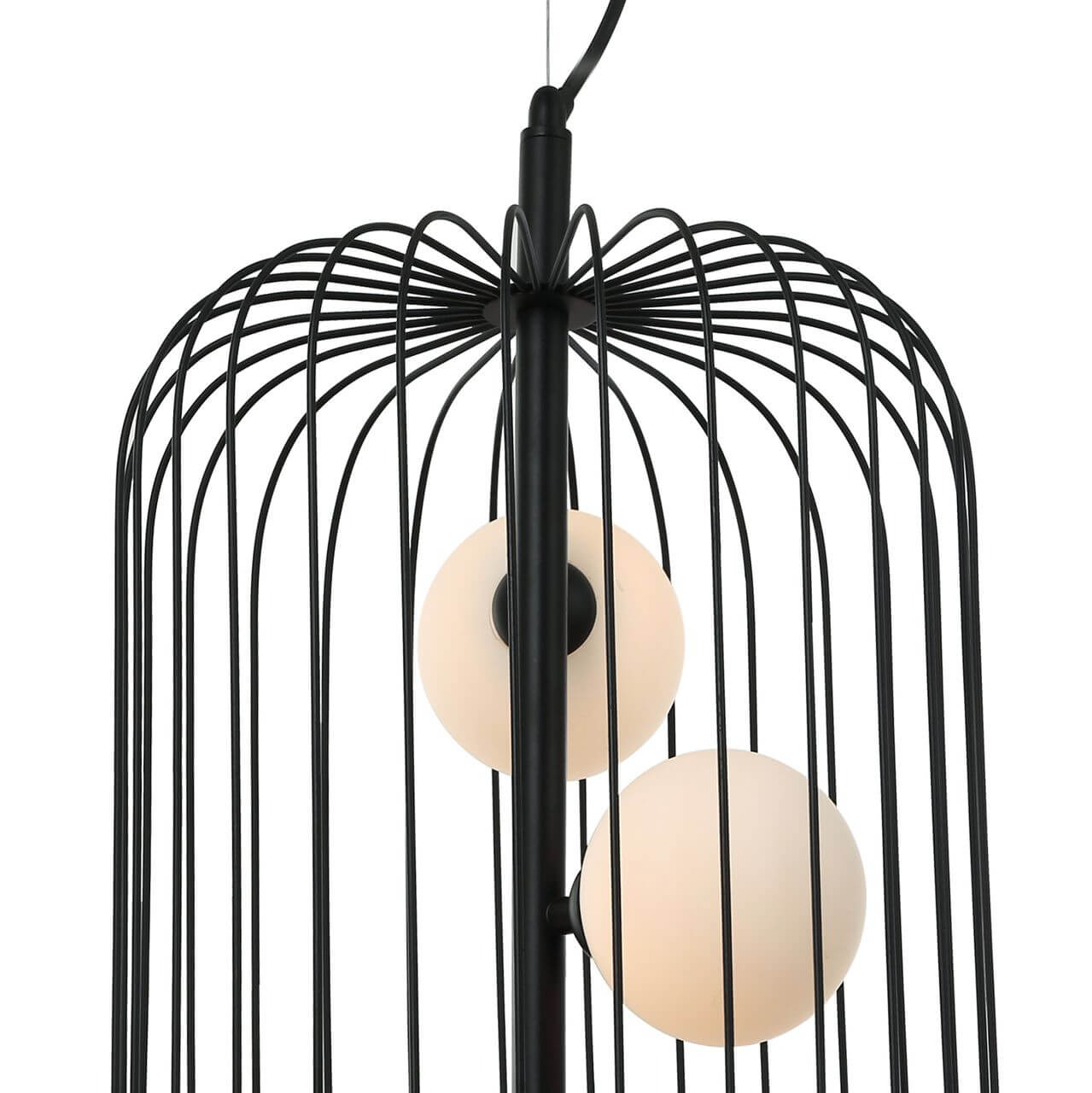 Подвесная люстра Favourite Margarita 2367-3P