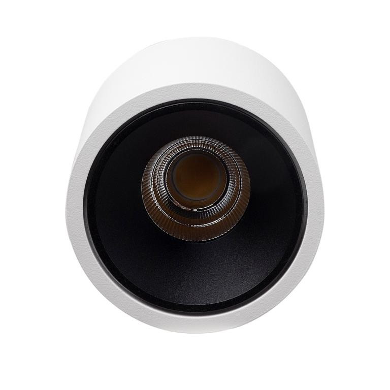 Влагозащищенный светильник LeDron RINBOK White/Black 00000017857