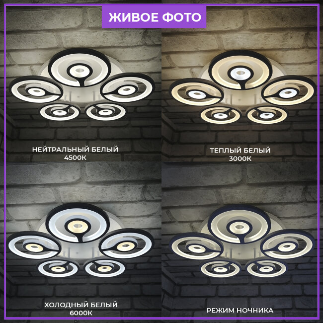 Потолочная люстра Wedo Light Torfred 75397.01.09.05