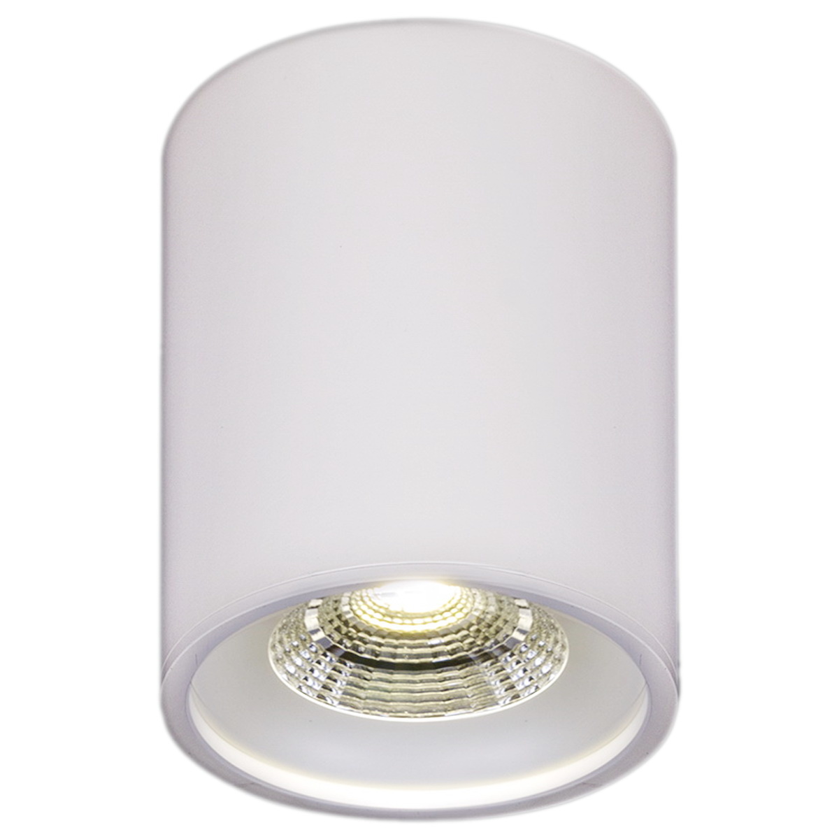 Накладной светильник Reluce 81117-9.5-001RT LED10W WT