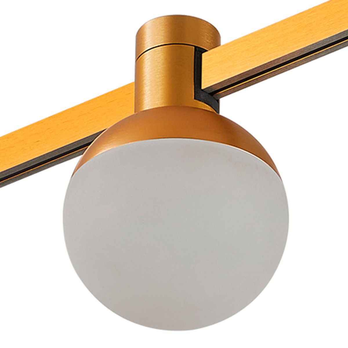 Трековый магнитный светильник ST Luce Farm ST815.206.05